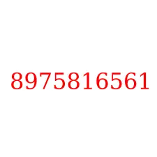 8975816561