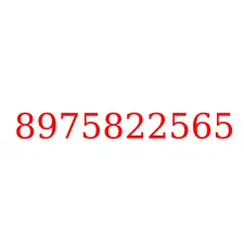 8975822565