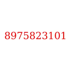 8975823101