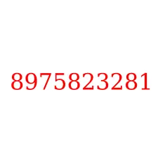 8975823281