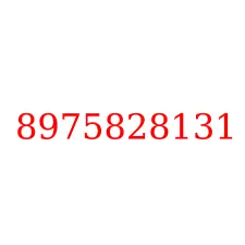 8975828131