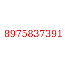 8975837391