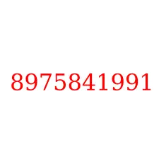 8975841991