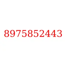 8975852443
