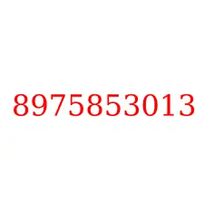 8975853013