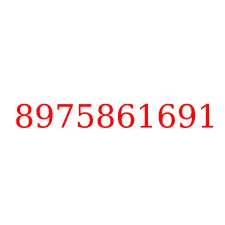 8975861691