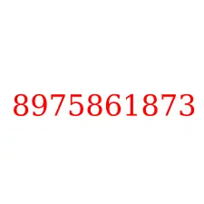 8975861873