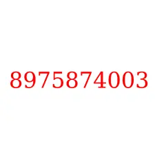 8975874003