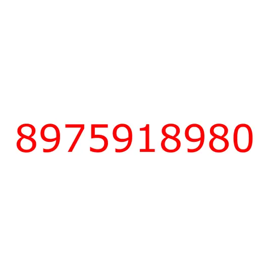 8975918980 17.198 LOCK ASM; VERTICAL, 8975918980