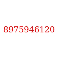 8975946120