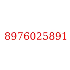 8976025891