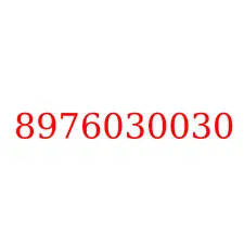 8976030030
