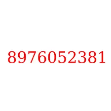 8976052381