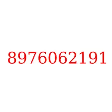 8976062191