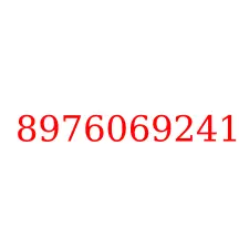 8976069241