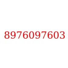 8976097603
