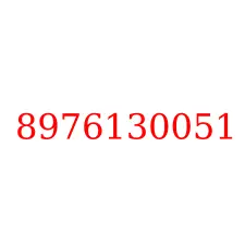 8976130051