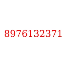 8976132371