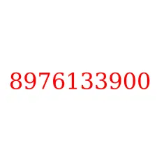 8976133900