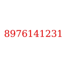 8976141231