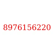 8976156220