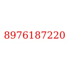 8976187220