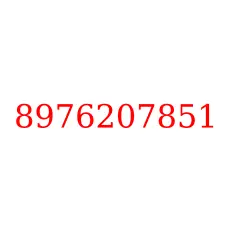 8976207851