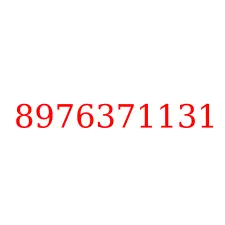 8976371131