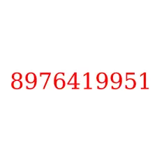 8976419951