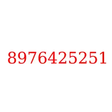 8976425251