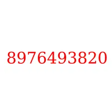 8976493820