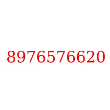 8976576620