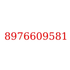 8976609581