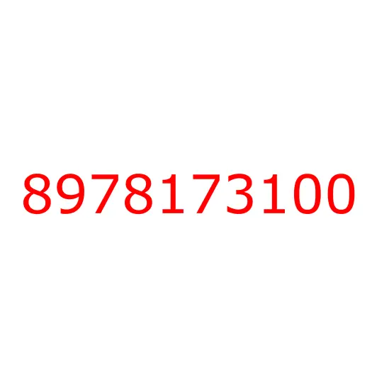 8978173100 HANDLE; OUTSIDE,RR DOOR, 8978173100