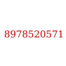 8978520571