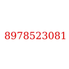 8978523081