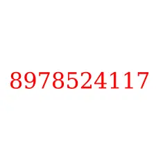 8978524117