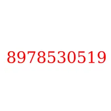 8978530519