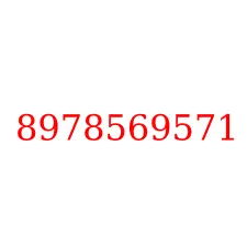 8978569571