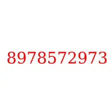 8978572973