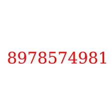 8978574981