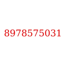 8978575031