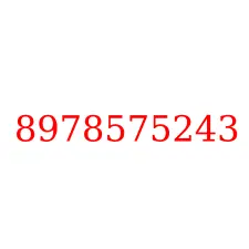 8978575243