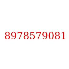 8978579081