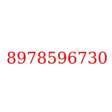 8978596730