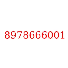 8978666001