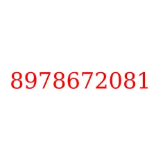 8978672081