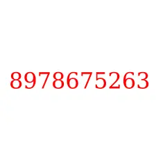 8978675263