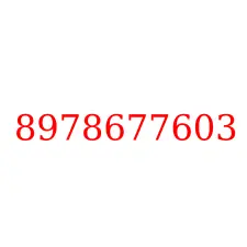 8978677603