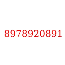 8978920891